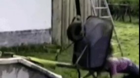 اینم یه گیف خاک بر سری