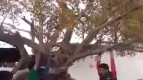 اخه این چجور بازیه بنده خدا  نابود شد 