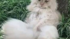 آخرین روزهای تابستونو هم اینجوری سپری میکنیم