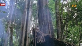 فیلم سینمایی فیتزکرالدو بادوبله فارسی