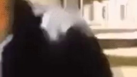 تا اینجای مسیرو چطور اومده بود بنده خدا