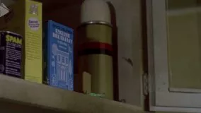 فیلم سینمایی متخصص بادوبله فارسی