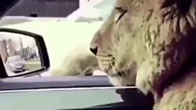 ای بابا، تابستونم که تموم شد