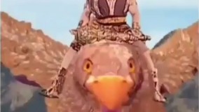 بلاخره یه کشوری پیدا شد و رو دست هندیا بلند شد