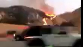 اوج تلاش برای حفظ محیط زیست از نوع شیرازی