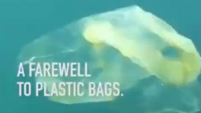 اکت هایی پس از رهاسازی در طبیعت  که تبدیل به گیاه میشن و  ارزون تر از پلاستیک هستند 