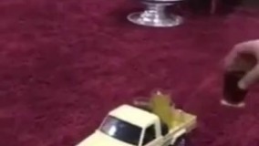 نحوه پذیرایی از مهمونا در شیراز 