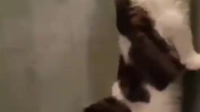 مامان جیش کردم بیا منو بشور 