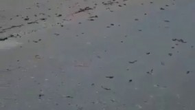 جاده میناب و چپ کردن محموله تریاک در جاده و ملت همیشه در صحنه :)))))))