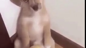 قیافه من وقتی از بابام پول میخوام