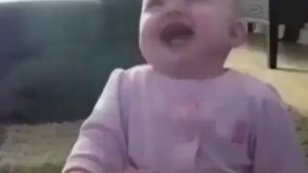 ناموسا فقط سگه