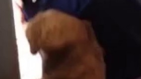 نمیرم مدرسه