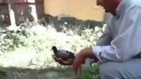 لحظه شیرین آزادی به راستی این لحظه چند؟ :)