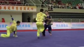 National Wushu Taolu Championship 1