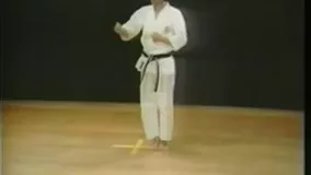 Karate - Kata - Chinte