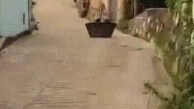 وقتی از تفریحات سالم دهه شصتی حرف میزنیم دقیقا منظورمون چیه