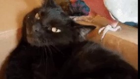 دمت گرم همین جا رو بخارون