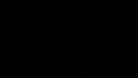 این دیگه اون بچه سابق نمیشه 