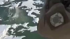 ببینید یخ با گلوله چه کار میکنه