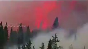 آهنگ:دنیای بی قرار