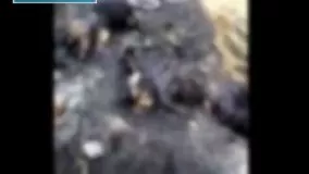  نقش رژیم صهیونیستی در کشتار مسلمانان میانمار