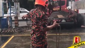 عملیات آتش نشانان برای به دام انداختن یک کروکودیل در شمال کشور مالزی