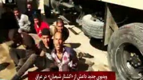  فیلم/ کشف گور دسته‎جمعی داعشی ها در تکریت