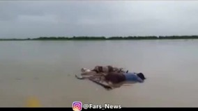 مثل آب خوردن نسل‌کُشی کنید، جایزه صلح نوبل ببرید