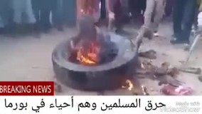 توحش بودایی های میانمار و زنده سوزاندن مسلمانان18+