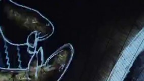 نورپردازی جذاب و باورنکردنی ساختمانی در سیدنی استرالیا