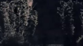 تیزر فیلم کوتاه «حیوان»-جشنواره فجر ۹۶