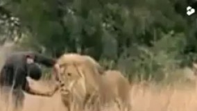 حتی وحشی ترین ها هم می توانند مهربان باشند  