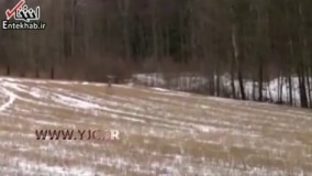 فیلم/ فیلمی عجیب از فرود فرازمینی‌ها در زمین!