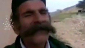 بدل بهنام بانی مو نمیزنه اصن