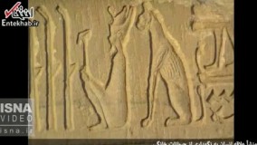 فیلم/ منشاء تمایل انسان به نگهداری از حیوانات