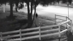 جن های وحشتناک و عجیب و واقعی رو در این ویدیو ببینید 1