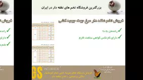 تخم نطفه دار مرغ، راندمان جوجه درآوری بسیار بالا