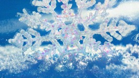 دانلود آهنگ جدید سیامک عباسی به نام شب قبل بهار Siamak Abbasi - Shabe Ghable Bahar