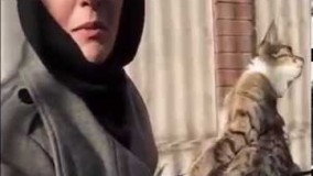 دانلود فیلم مستند فرشتگان