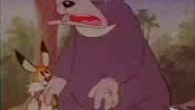 کارتون چوبین 14