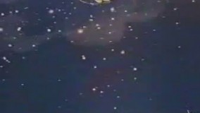 کارتون چوبین  26