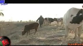 دانلود سریال  خاک سرخ ۱۲