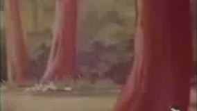 کارتون های چوبین