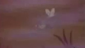 کارتون چوبین  25