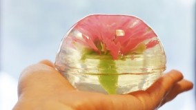  طرز تهیه ژله بی رنگ برای استفاده در کیک و دسر