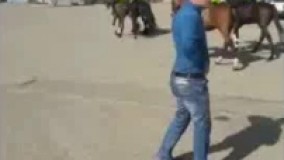 فیلم/ حضور پلیس اسب سوار برای تامین امنیت دربی86