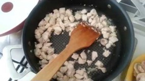 طرز تهیه جیکن استراگانف آسان و بسیار خوشمزه The easy and delicious recipe of chicken Straganof