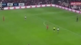 فیلم/ گربه ای که بازی بایرن مونیخ - بشیکتاش را متوقف کرد!