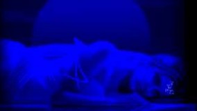 نميدانم چه ميخواهم بگويم  ـ  محمد اصفهاني