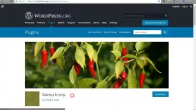 ساخت آیکن در هدر وردپرس با افزونه Menu Icons